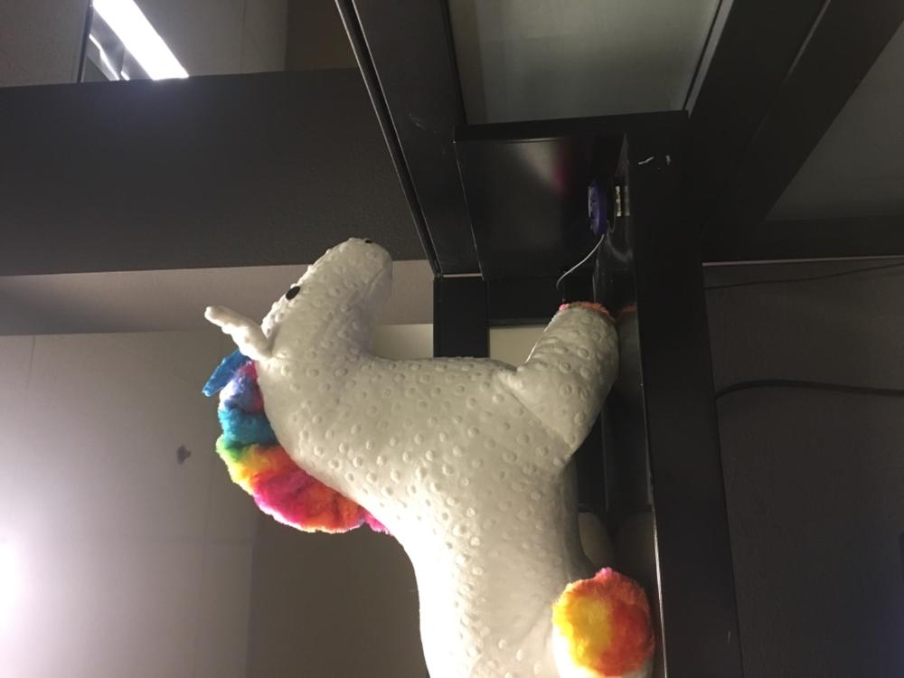 Peaceful Pals - Danny the Weighted Unique Unicorn - Customer Photo From Meegan G.