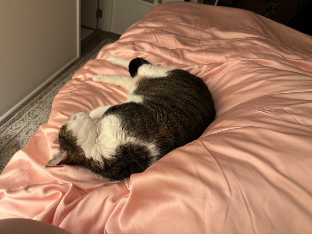 Bamboo Duvet Cover - Customer Photo From Allison Barrett