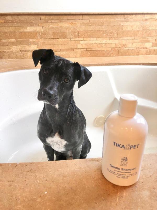 Gentle Shampoo - Customer Photo From Natalee