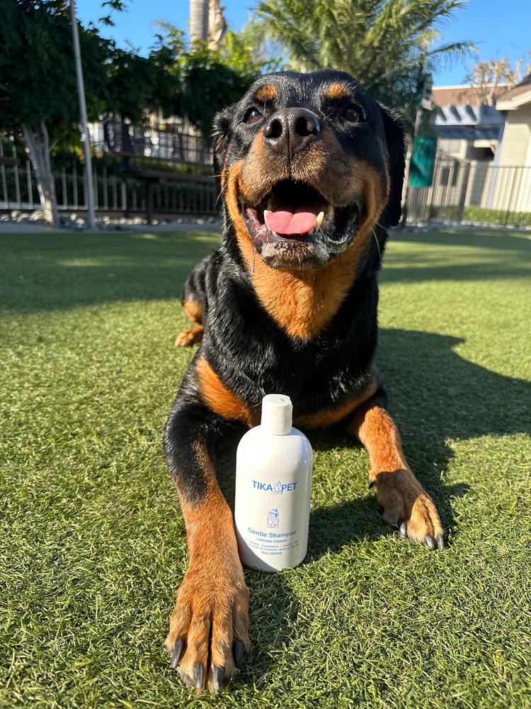 Gentle Shampoo - Customer Photo From Brittney Crawforth