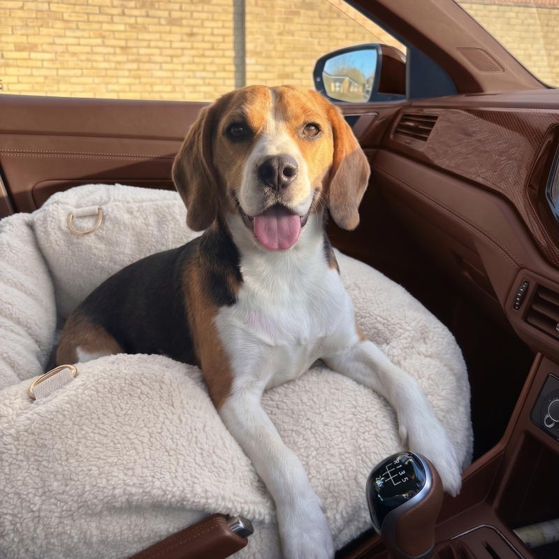 Pelsbarn Teddy Cozy Car Seat Bed - Customer Photo From Pamela N.