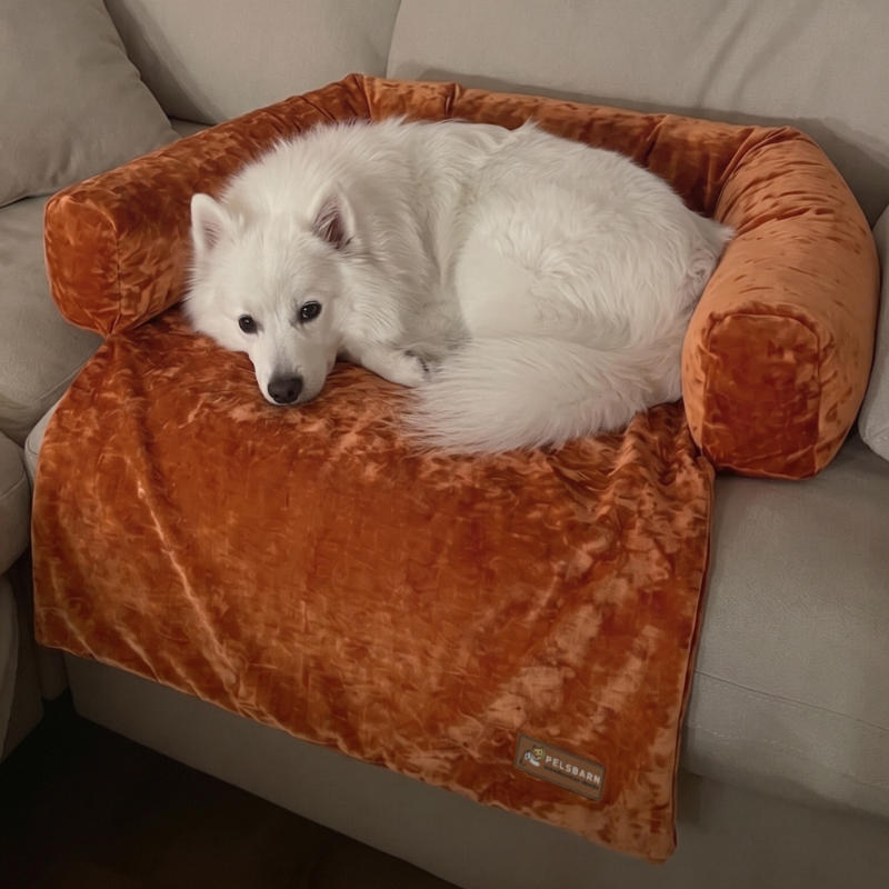 Pelsbarn Diamond Velvet Sofa Bed - Customer Photo From Marilyn E.