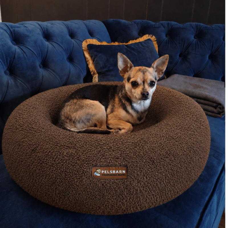 Teddy Donut Bed (1+1 ) - Customer Photo From Sharon D.