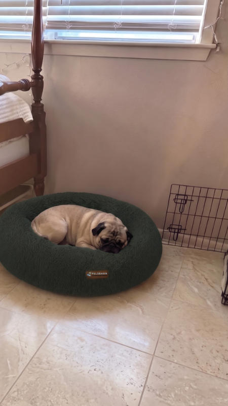 Teddy Donut Bed (1+1 ) - Customer Photo From Pamela R.