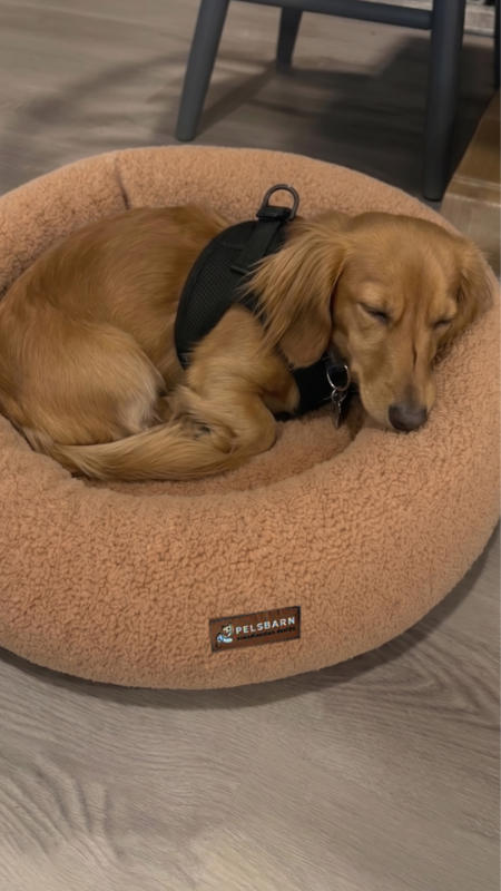 Teddy Donut Bed (1+1 ) - Customer Photo From Christine W.