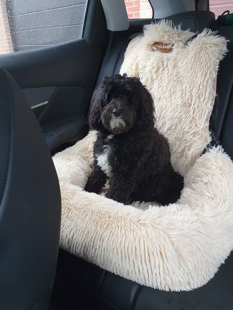 Pelsbarn™ Protecting Car Bed - Customer Photo From Scarlett