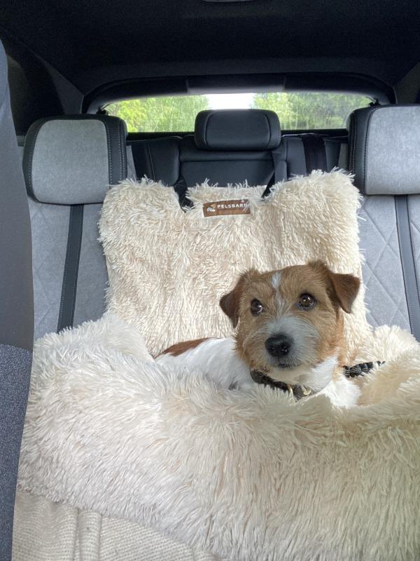 Pelsbarn Comfy Car Bed - Customer Photo From Sophia M.