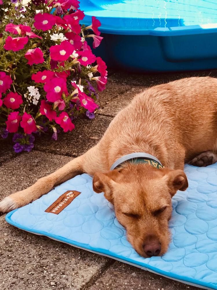 B and m cooling mat best sale