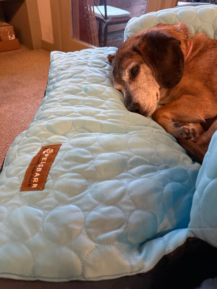 Customer photo