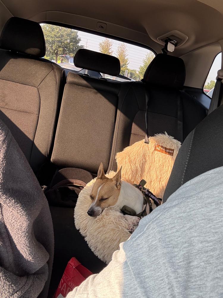 Customer photo