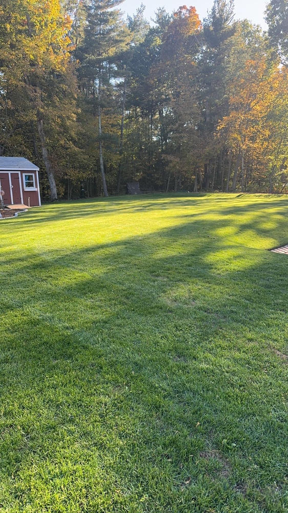 Lawn Care Subscription Professional DIY Fertilizer Program - Customer Photo From Rick DeRosa