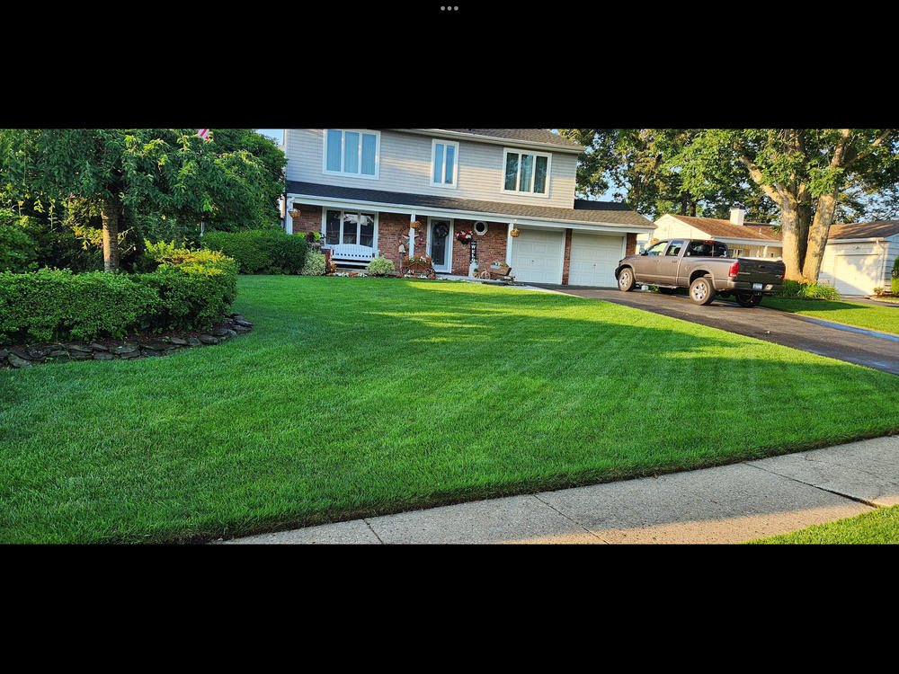 10-0-20 Emerald Lawn Fertilizer - Customer Photo From Ted Fudjinski