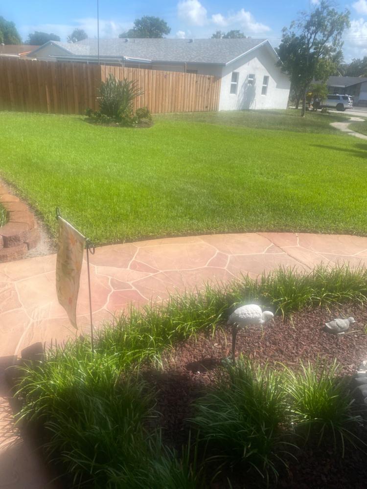 10-0-20 Emerald Lawn Fertilizer - Customer Photo From Anonymous