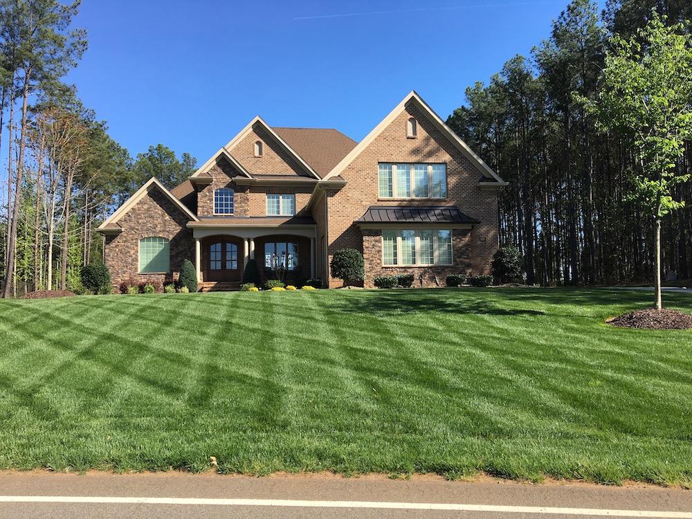 10-0-20 Emerald Lawn Fertilizer - Customer Photo From Chris S.