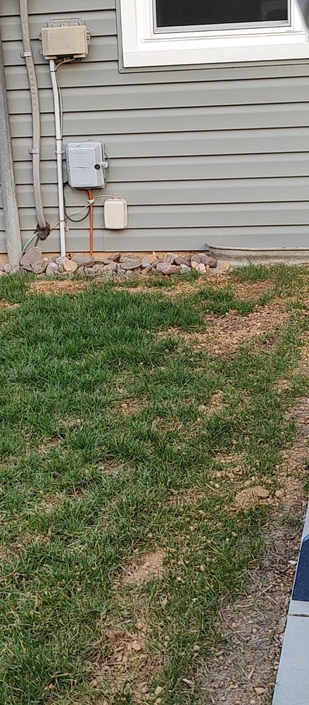 North Star Grass Seed | Premium Kentucky Bluegrass & Tall Fescue Blend - Customer Photo From John Murphy