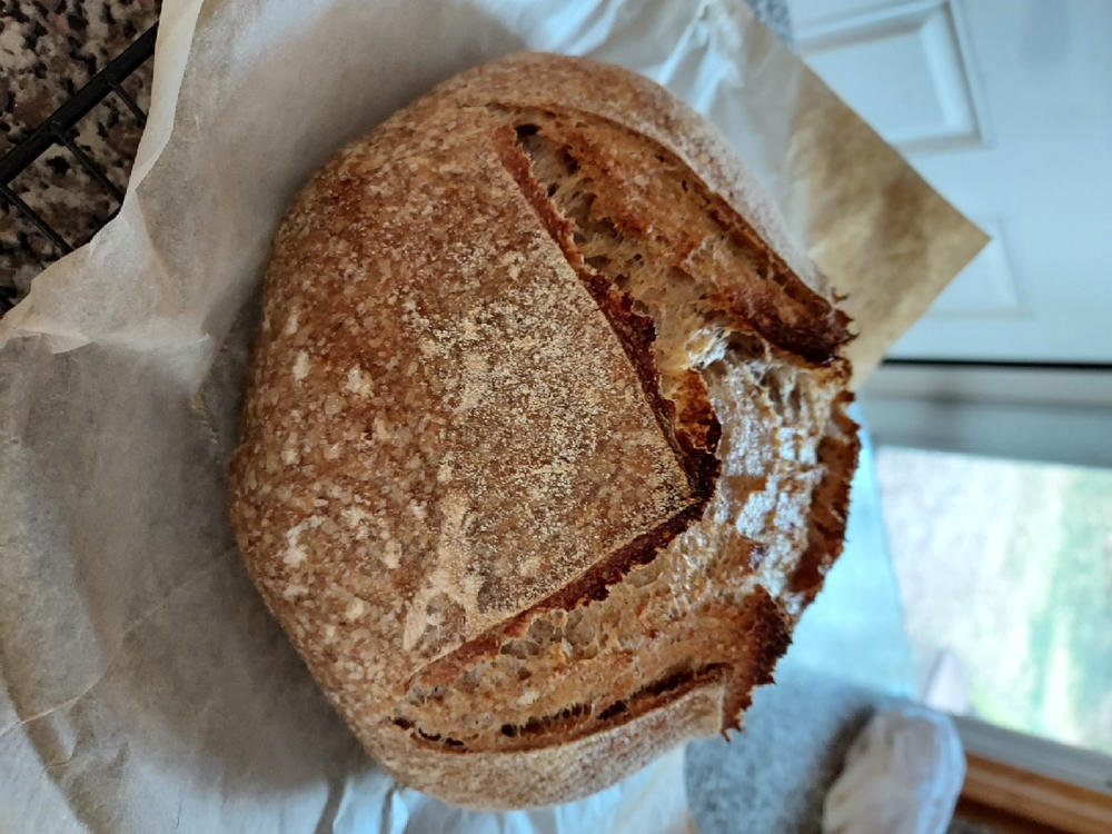 Stoneground Sifted Red Wheat Flour - Customer Photo From Paul Bray