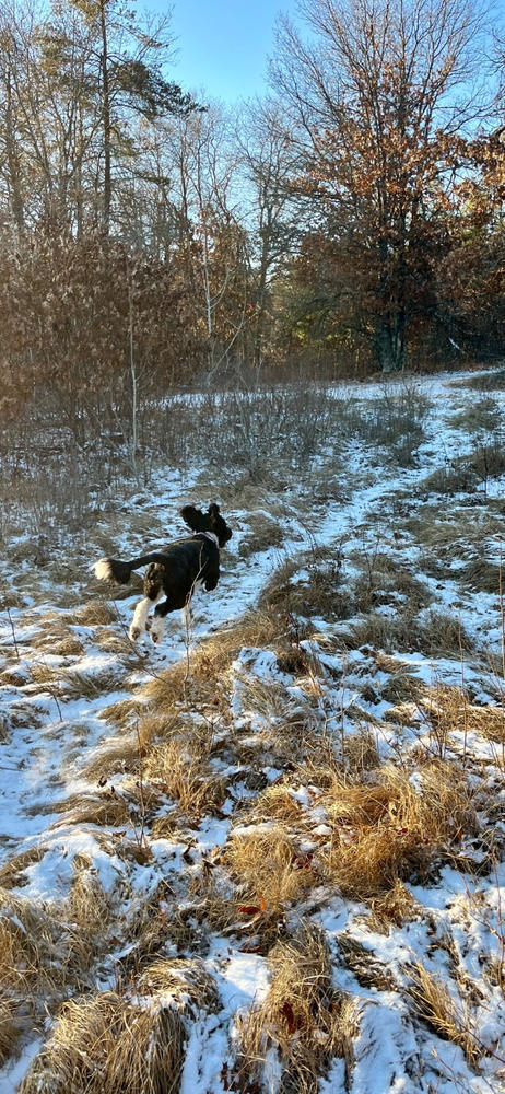 MICROspikes® Footwear Traction - Customer Photo From Neil Dejewski