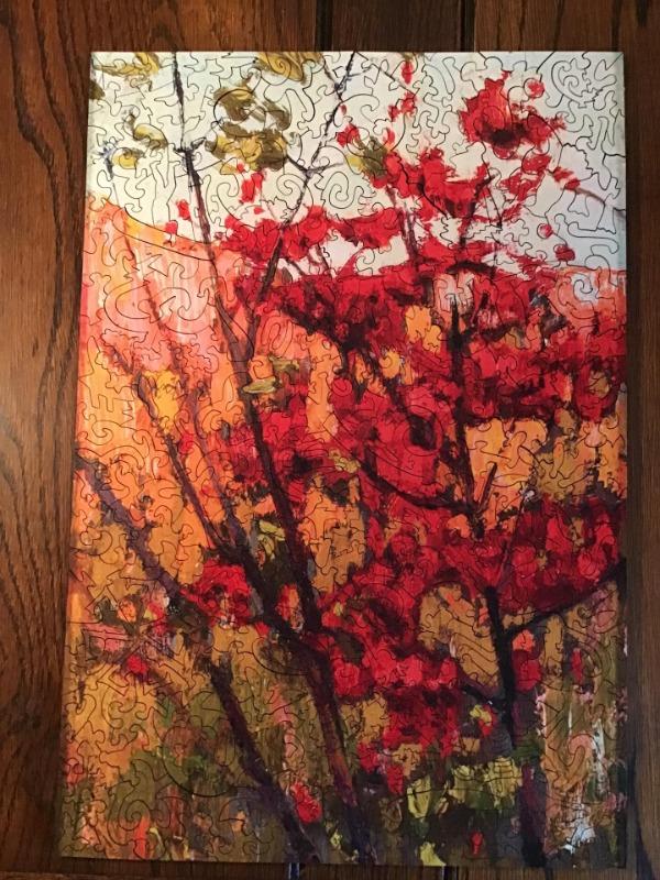 Soft Maple in Autumn by Tom Thomson - Customer Photo From 