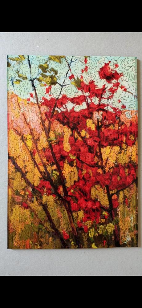 Soft Maple in Autumn by Tom Thomson - Customer Photo From Anonymous