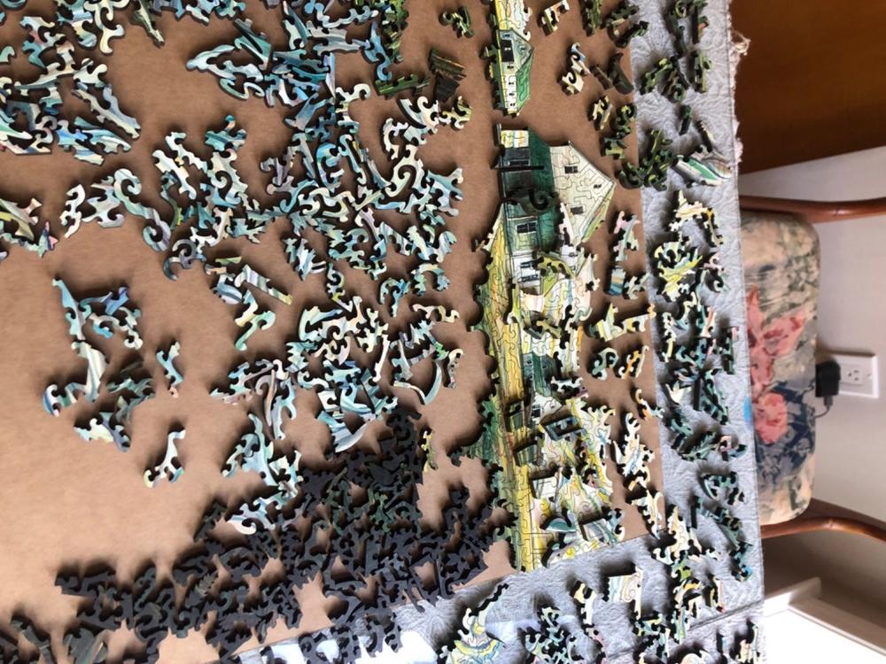 Morning by Steve R. Coffey - Customer Photo From Sylvia J.