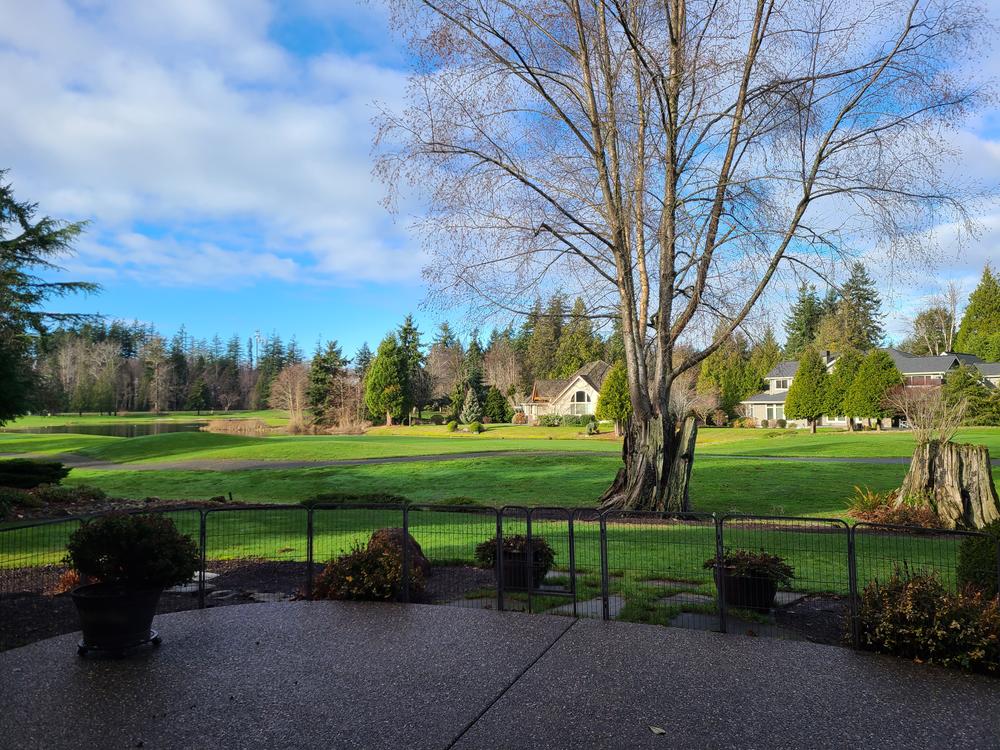 The Marsh, The Meadow, The Mountain by Catherine Robertson - Customer Photo From Valerie C.