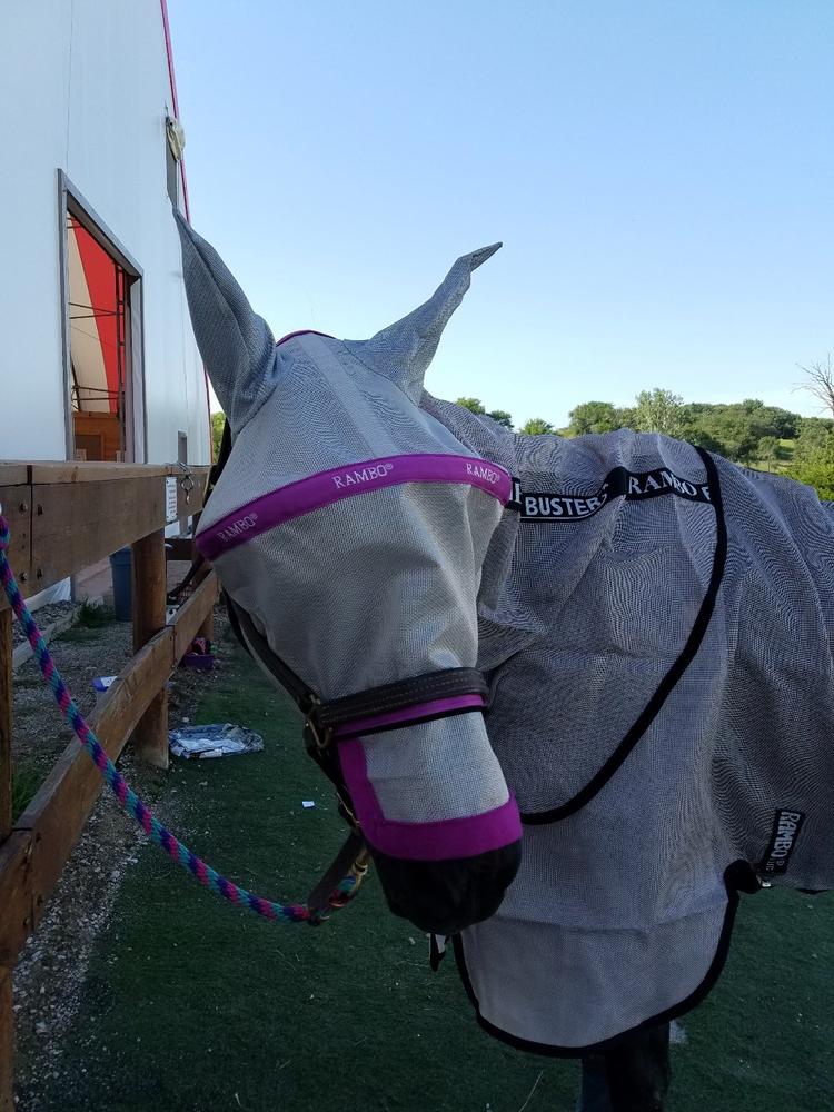 Rambo Plus Fly Mask - Customer Photo From Anonymous