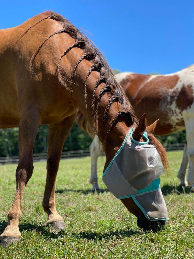 WeatherBeeta ComFiTec Deluxe Fine Mesh Mask with Nose - Customer Photo From Anonymous