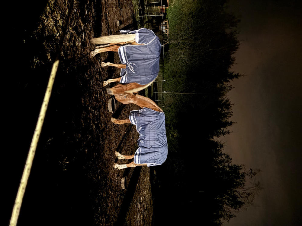 LeMieux Arika Storm-Tek Blanket (100g Medium/Lite) - Customer Photo From KYLEE MULCH