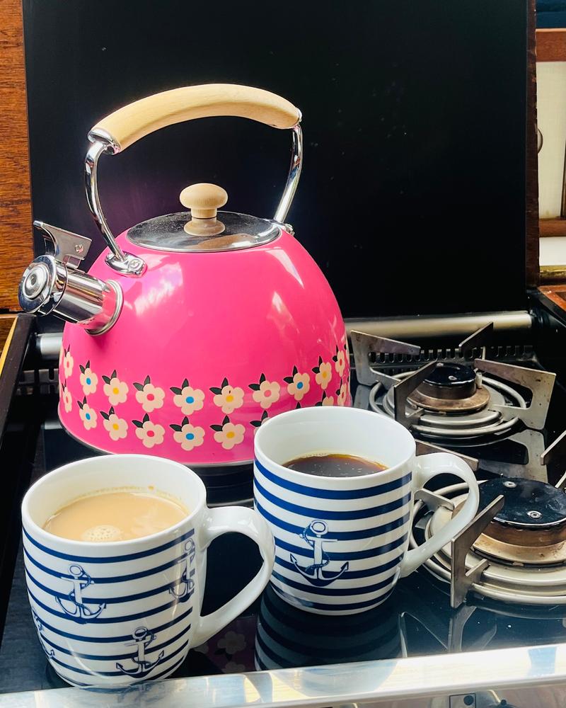2.5L Rose Pink Whistling Kettle Stainless Steel - Enamelhappy - Customer Photo From Shirley