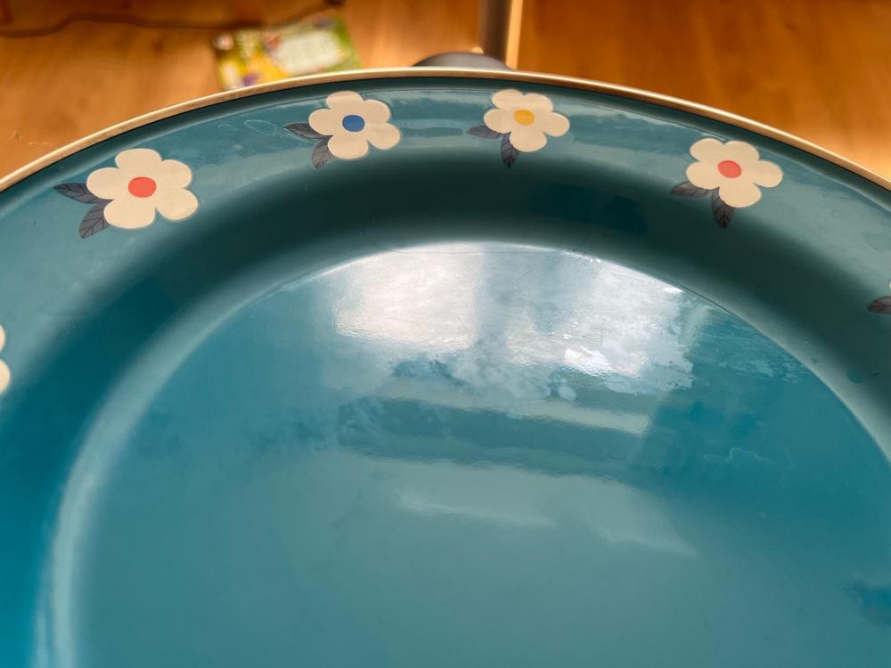 Pair of Beautiful Enamel Plates In Ocean Teal Blue Retro Floral - Enamelhappy - Customer Photo From Anonymous