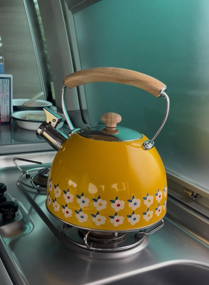 SECONDS - Various Colours -  2.5L Whistling Kettle Stainless Steel - Enamelhappy - Customer Photo From Lucy Clarke