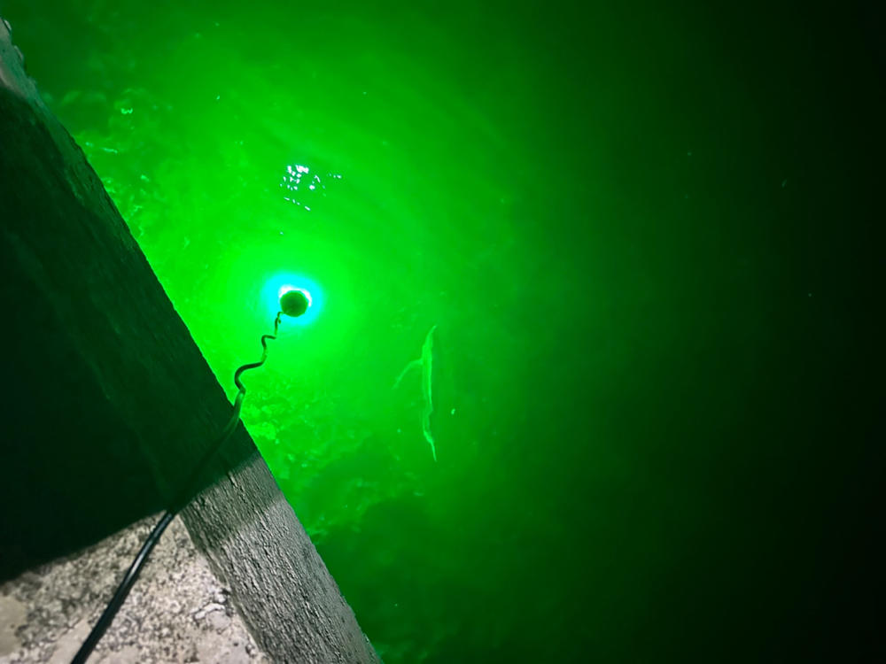 Green Blob 15000 Lumen LED Underwater Fishing Light - Texas-Made, Durable for Saltwater & Freshwater, Available in Green, Blue, or White - Customer Photo From Belinda Arnett
