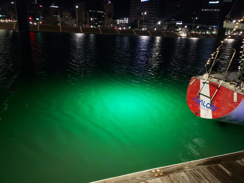 Green Blob Jumbo BLOB 30000 Lumens 600 LED Underwater Fishing Light for Docks 110 Volt AC with 3 Prong Plug - Customer Photo From Bill Hartsfield