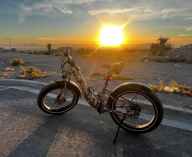 Obsidian ST - Customer Photo From Julia Wagner