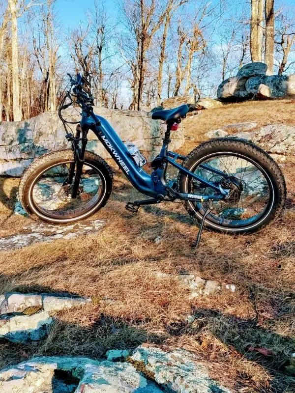 Obsidian ST - Customer Photo From Anna Schmidt