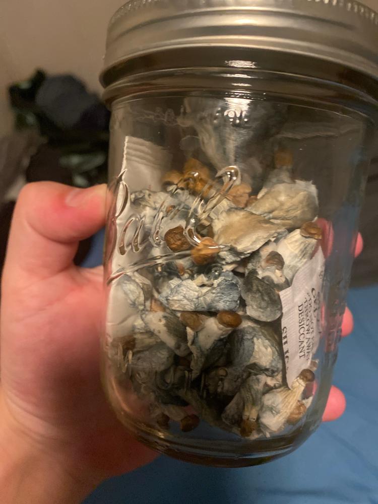 Hill Billy Mushroom Liquid Culture (10ml) - Customer Photo From Dan