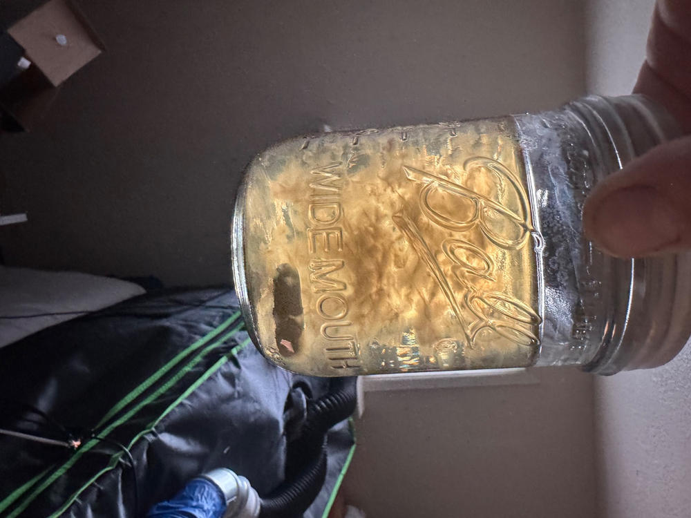 Hill Billy Mushroom Liquid Culture (10ml) - Customer Photo From Brian Gault