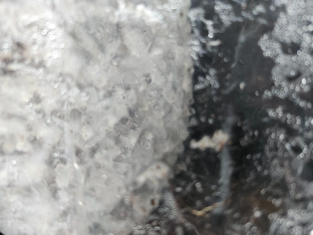 Enigma Isolated Mushroom Liquid Culture (10ml) - Customer Photo From Kevin DAY