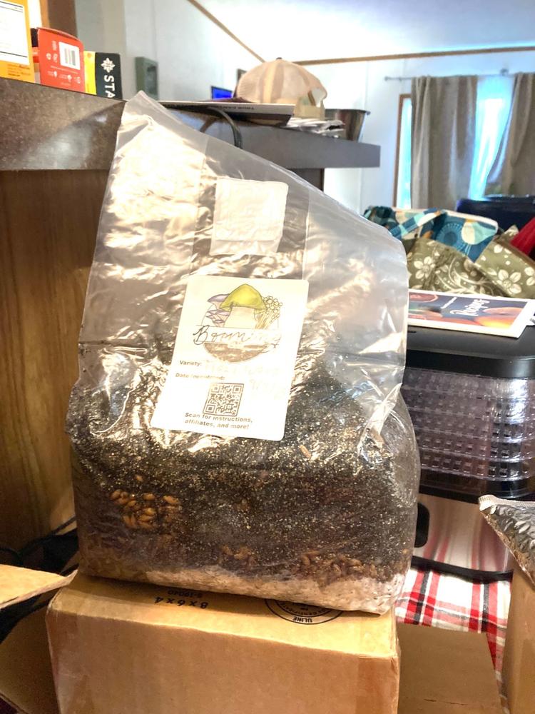 sporesMD Bundles - Best Seller Pack - (Golden Teacher, Penis Envy, Jedi Mind Fuck) - Customer Photo From Jeremy Grenon