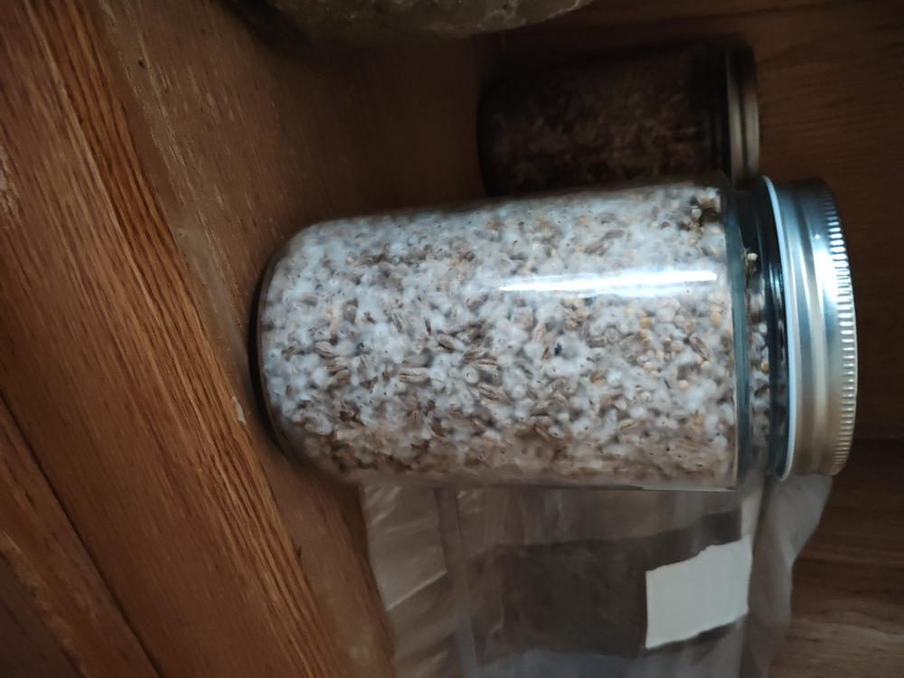 sporesMD Bundles - Best Seller Pack - (Golden Teacher, Penis Envy, Jedi Mind Fuck) - Customer Photo From Ernest butler