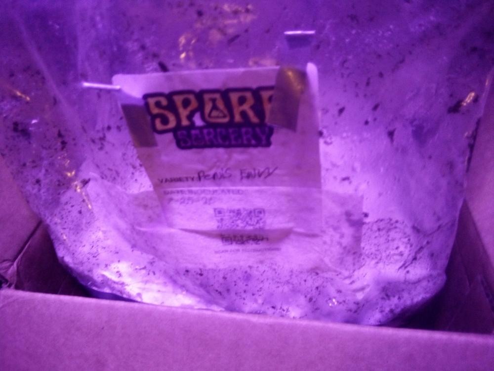 10 Pack Isolated Liquid Culture Bundle - Vendors Choice - Customer Photo From Dillan Lush