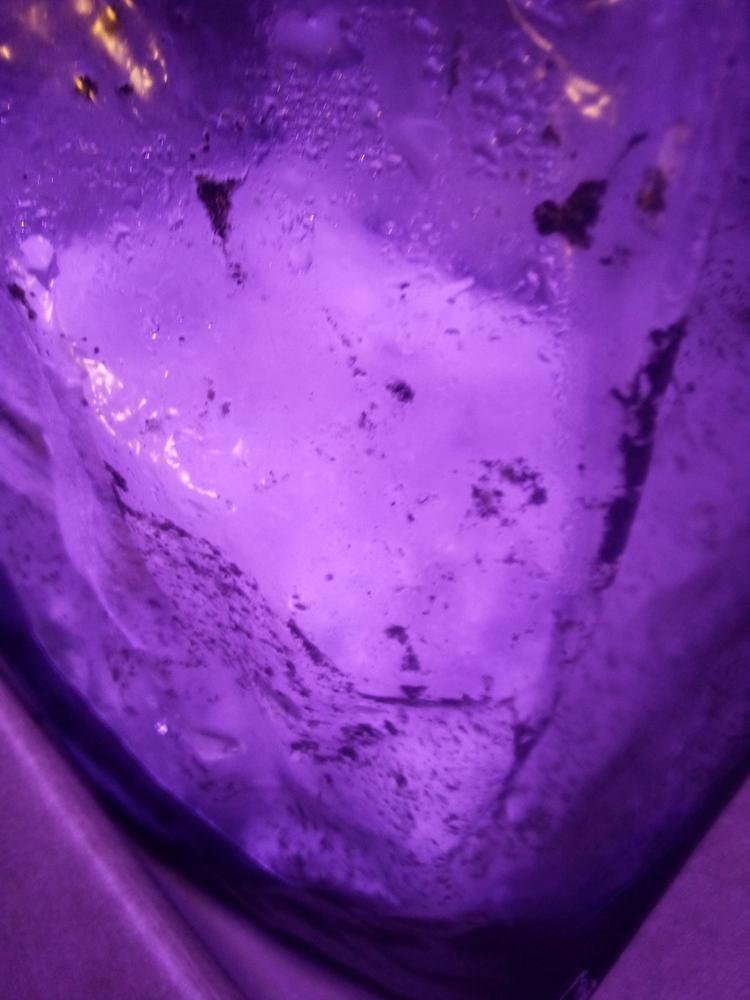 10 Pack Isolated Liquid Culture Bundle - Vendors Choice - Customer Photo From Dillan Lush