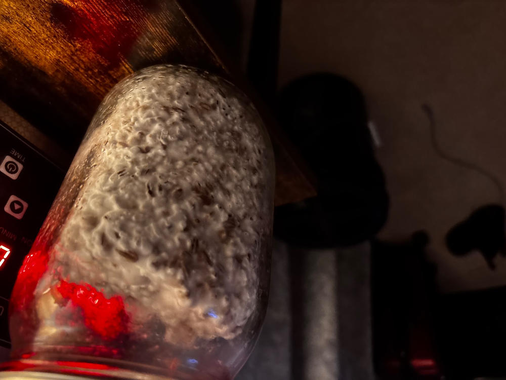 Jedi Mind Mushroom Liquid Culture (10ml) - Customer Photo From Dax Malone