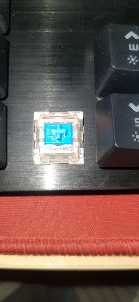 Certified Refurbished Cosmic Byte Neon Mechanical Gaming Keyboard - Brown Switch - Customer Photo From Gopalakrishnan R.