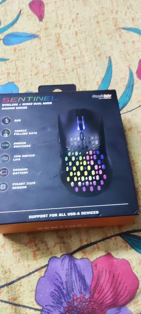 Cosmic Byte Pulse Wired Gaming Mouse - Customer Photo From Shivam 