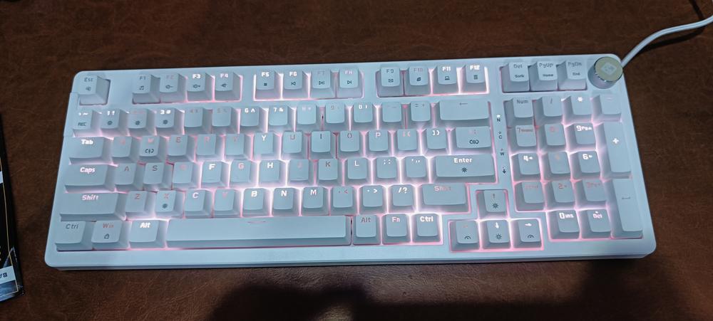 Cosmic Byte Phantom Gasket Mechanical Wired Swappable Keyboard with PreLubed Switches - Customer Photo From Lucky Chaudhari