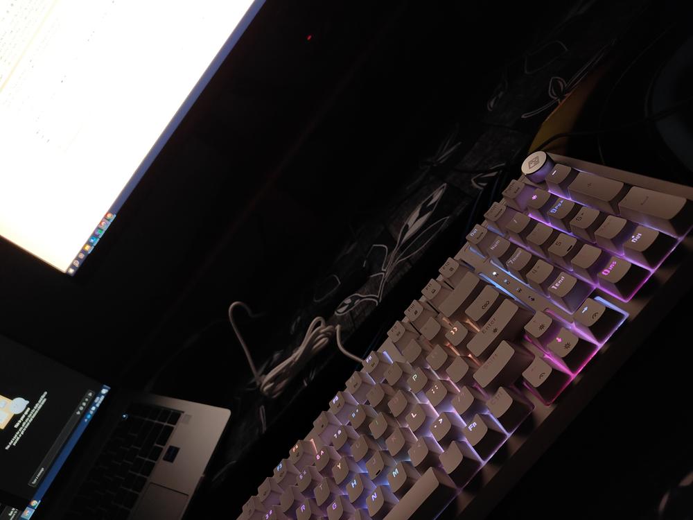 Cosmic Byte Phantom Gasket Mechanical Wired Swappable Keyboard with PreLubed Switches - Customer Photo From Sharad Tiwari 