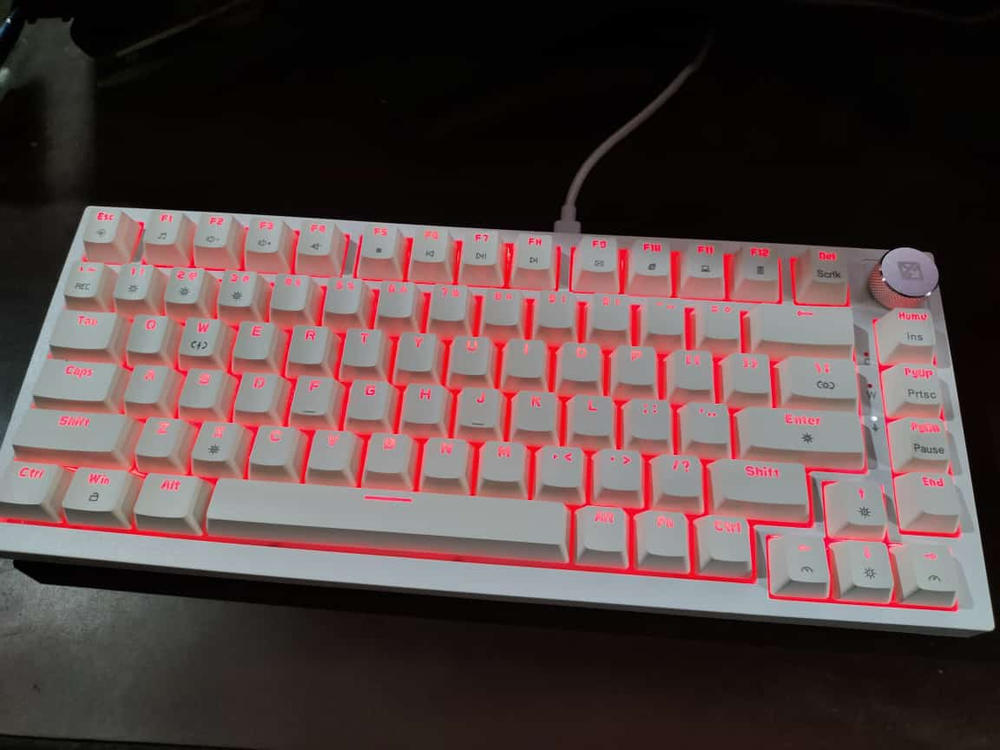 Cosmic Byte Phantom TKL Gasket Mechanical Wired Swappable Keyboard with PreLubed Switches - Customer Photo From Srijan Mondal