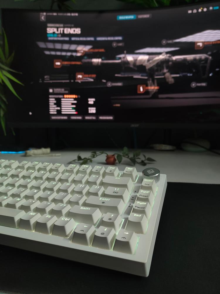 Cosmic Byte Phantom TKL Gasket Mechanical Wired Swappable Keyboard with PreLubed Switches - Customer Photo From vinayak
