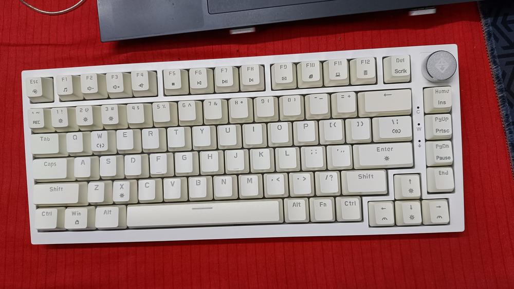 Cosmic Byte Phantom TKL Gasket Mechanical Wired Swappable Keyboard with PreLubed Switches - Customer Photo From prajjwal kushwaha